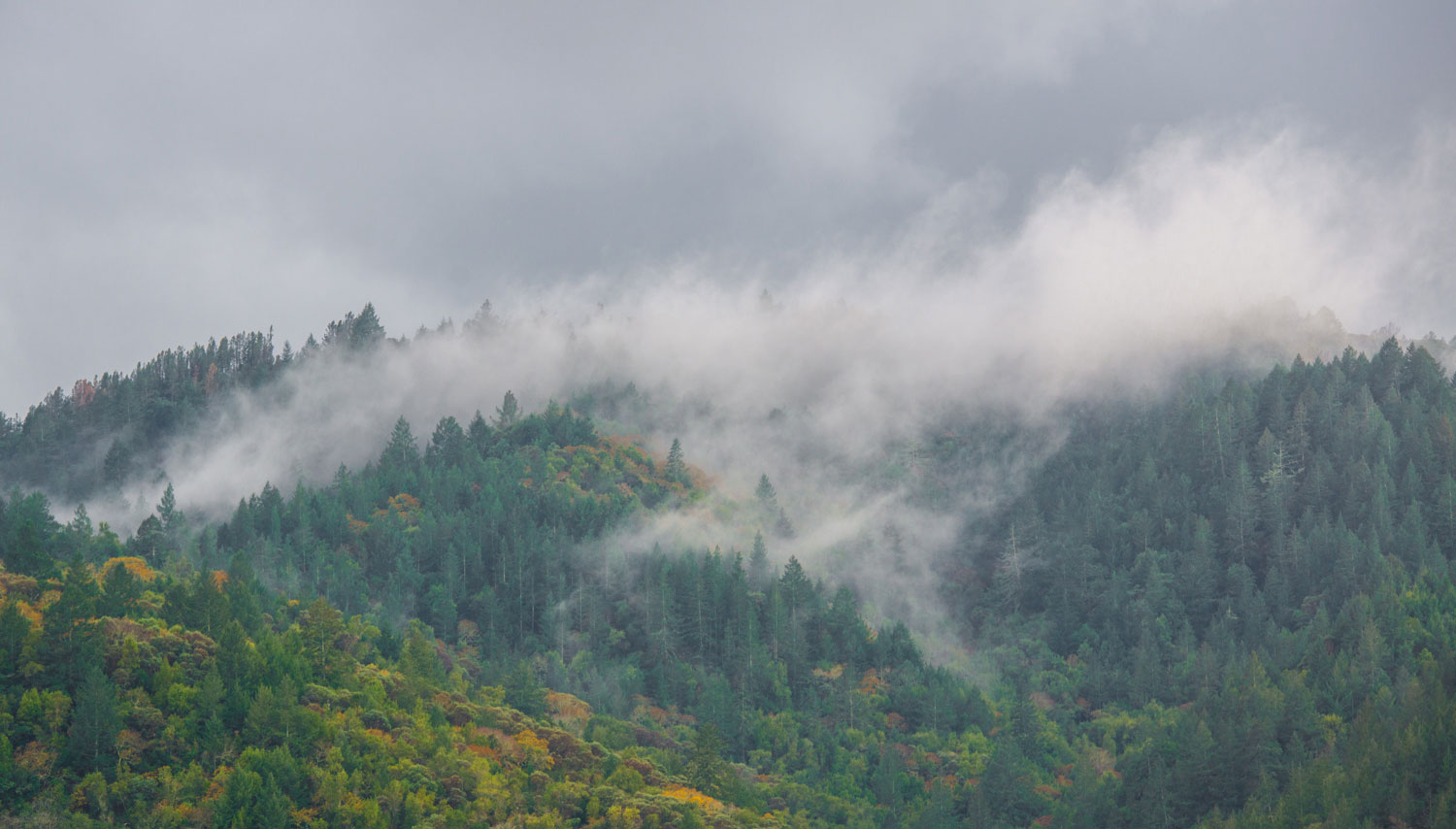 hills
